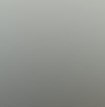 Family finance dashboard preview