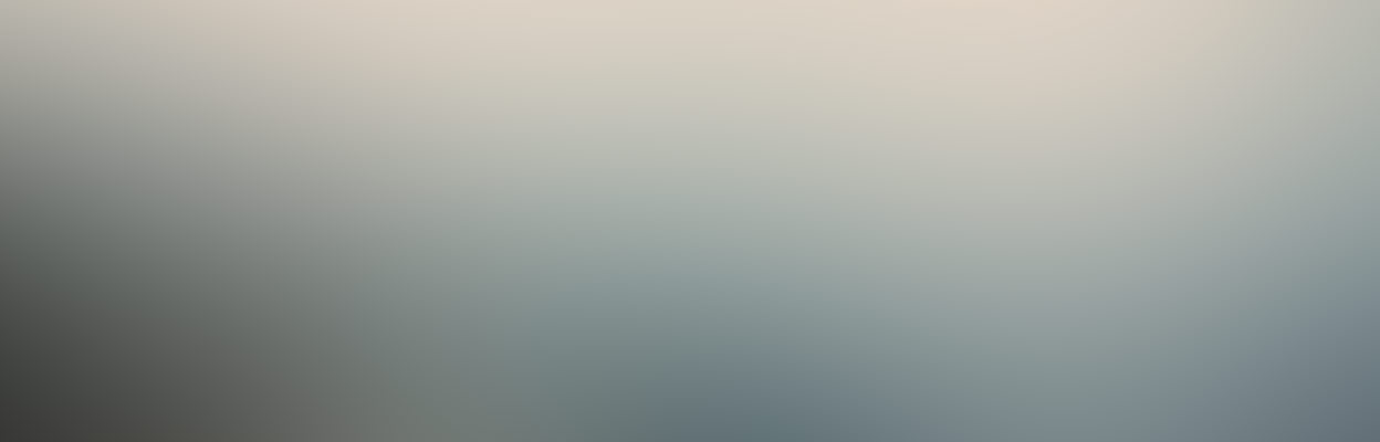 Financial charter preview