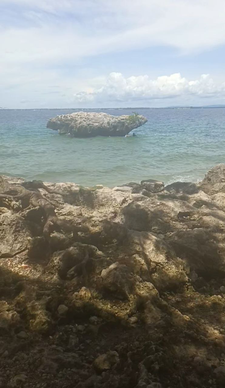 Cebu Image 1