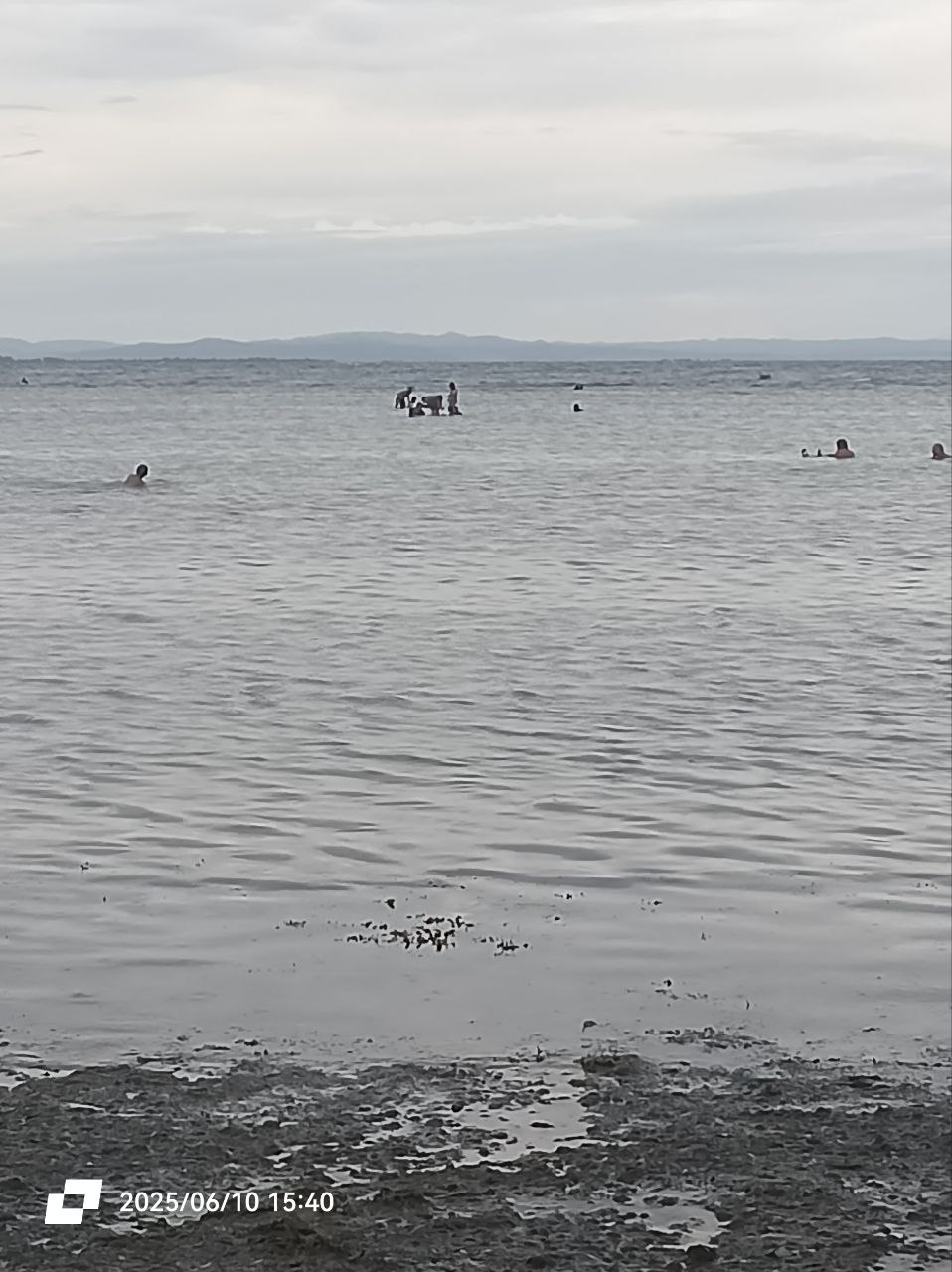 Cebu Image 13
