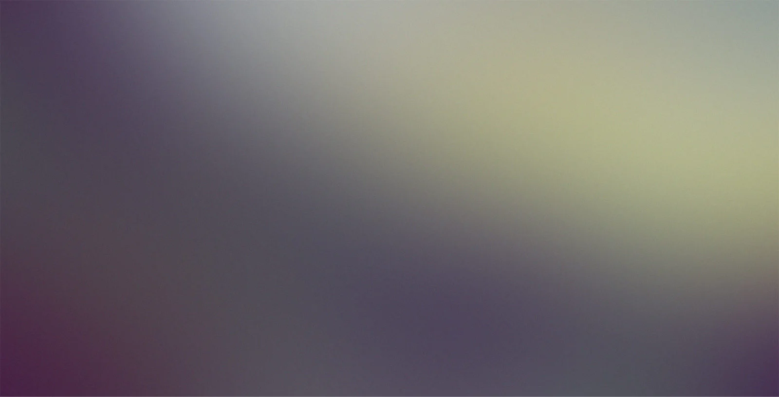 Morning Yoga Session